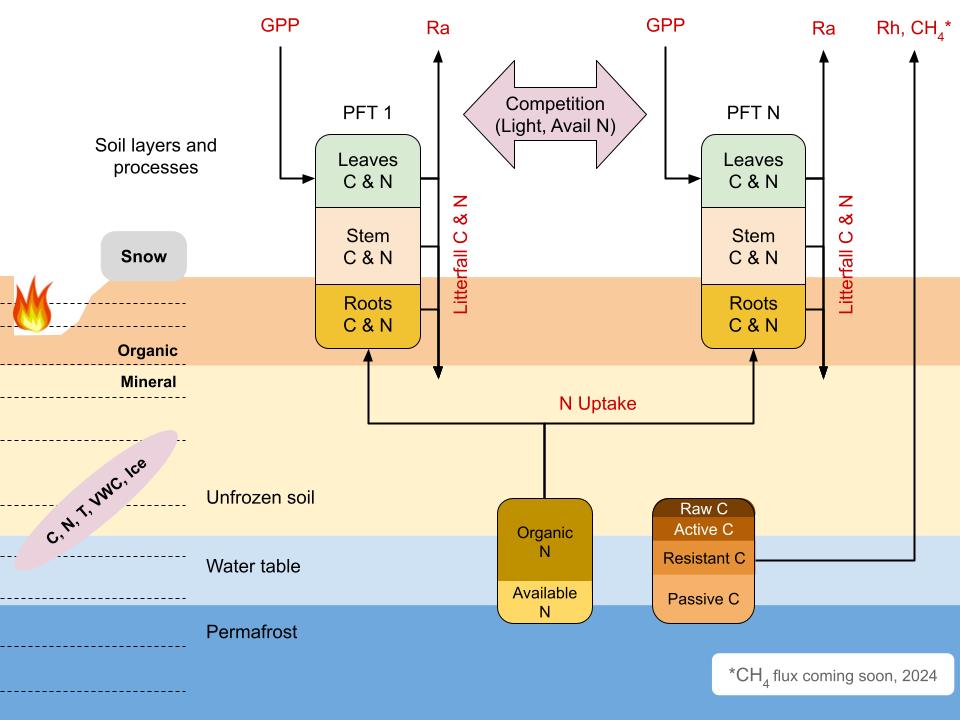 Visual overview of DVMDOSTEM.